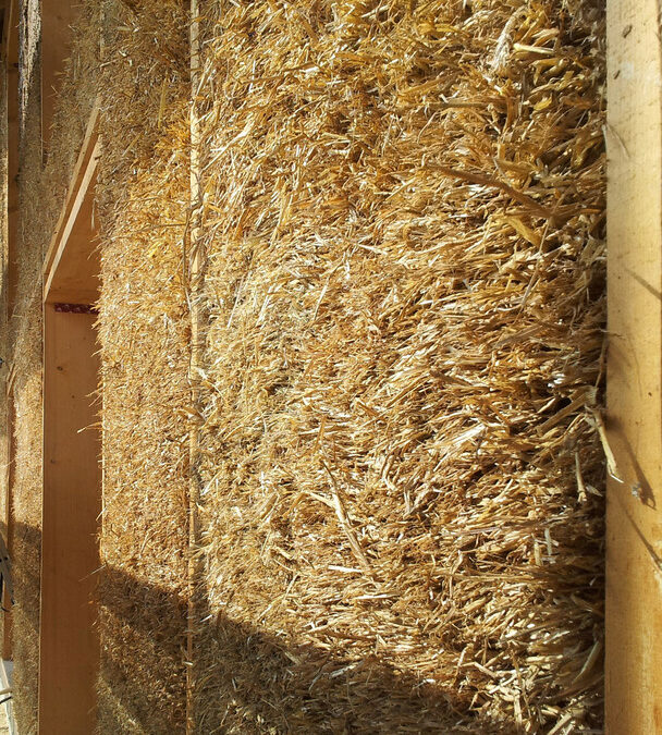 Straw workshop